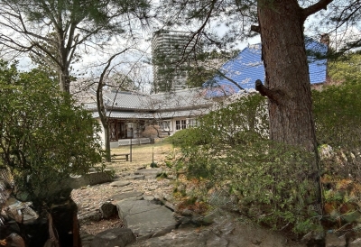 E35DCCD8-36BF-453F-8D09-A201D70FC634